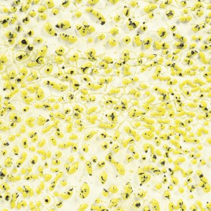 CR61 Speckled Yellow