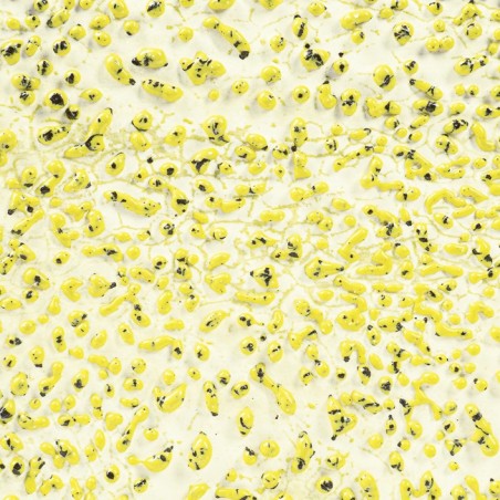 CR61 Speckled Yellow