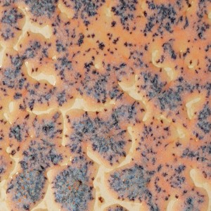 CR18 Speckled Flux Crawl