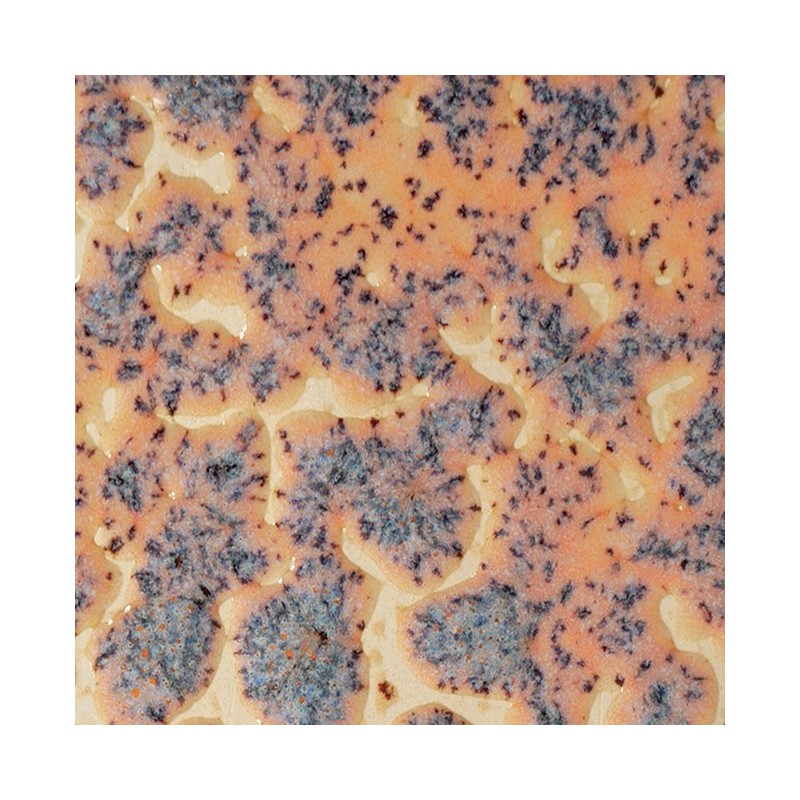 CR18 Speckled Flux Crawl