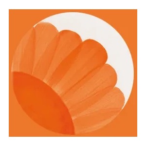 HC460 Flame Orange