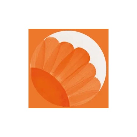 HC460 Flame Orange