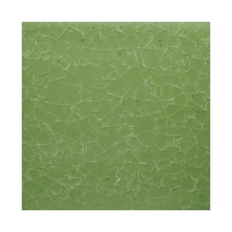 KI46 Frozen Fern