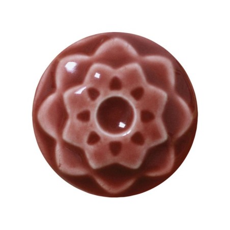 C53 Weeping Plum
