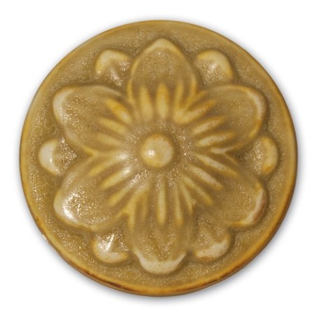 Spas19224 Smalto MUSTARD MATT per PORCELLANA