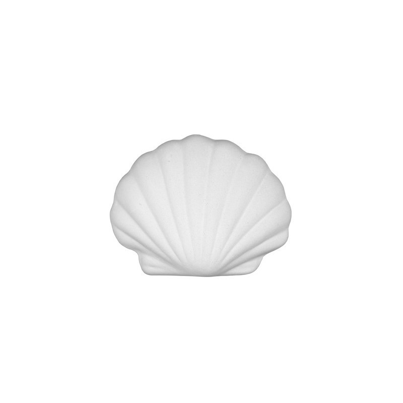 K1226 Placca conchiglia Ø 6 cm