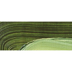 Sap Green 506 - Olio Akademie Schmincke