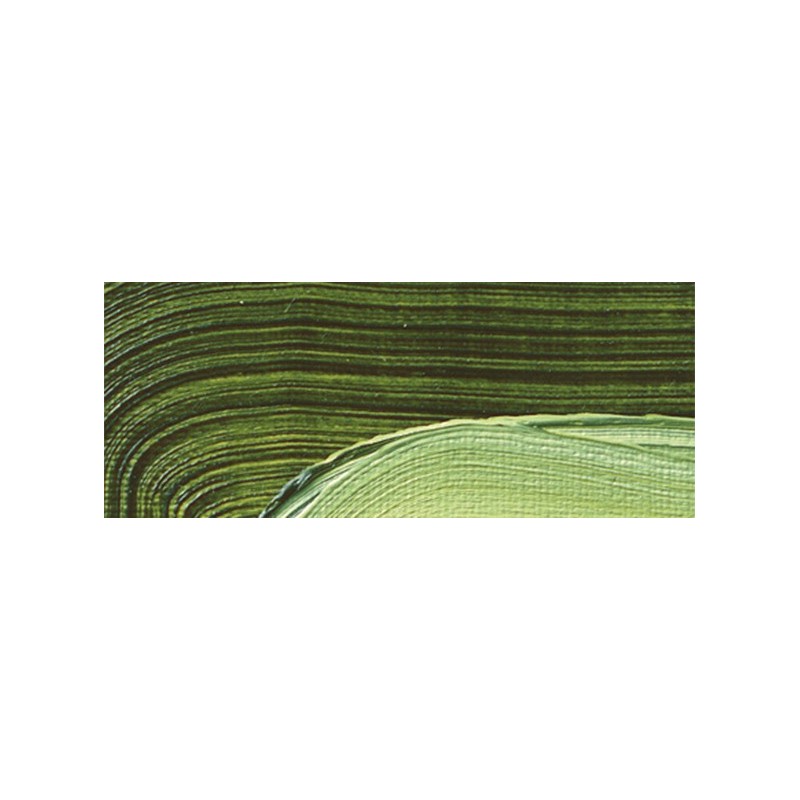 Sap Green 506 - Olio Akademie Schmincke
