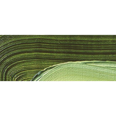 Sap Green 506 - Olio Akademie Schmincke