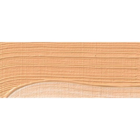 Tinta carne 202 - Olio Akademie Schmincke