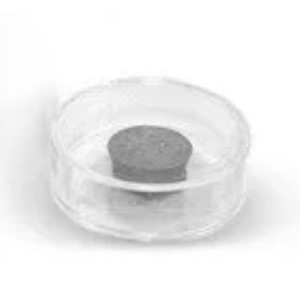 Argento in conchiglia