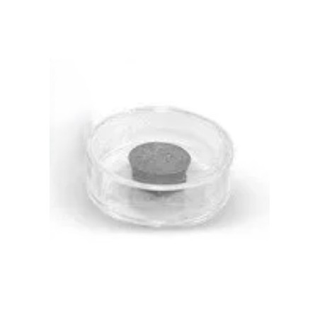 Argento in conchiglia