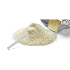 Caseina in polvere