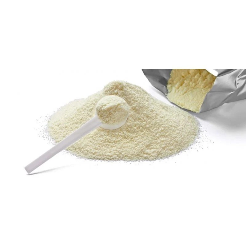 Caseina in polvere