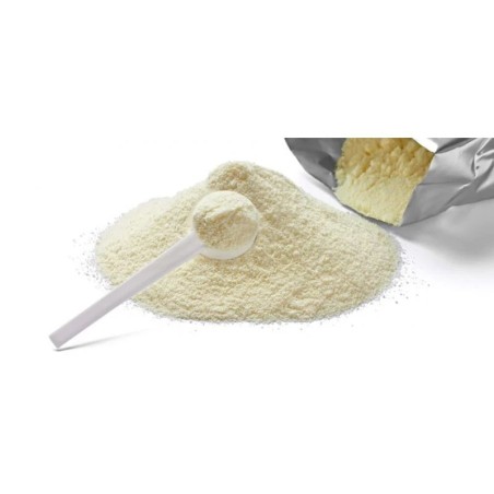 Caseina in polvere