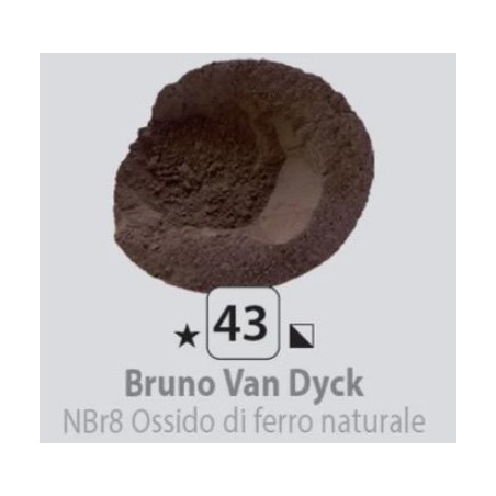 CDV P043 Bruno Van Dyck