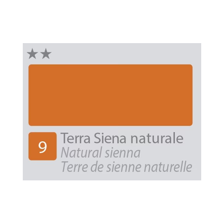 BETACOLOR Colore Acrilico Fine Terra Siena Naturale