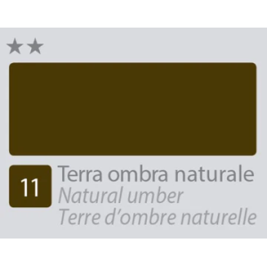 BETACOLOR Colore Acrilico Fine Terra Ombra Naturale