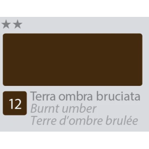 BETACOLOR Colore Acrilico Fine Terra Ombra Bruciata