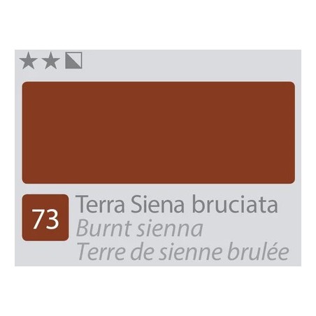 ACCADEMIA Colore Ad Olio - Terra Siena Bruciata (73)