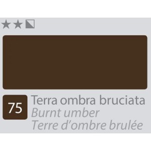 ACCADEMIA Colore Ad Olio - Terra Ombra Bruciata (75)