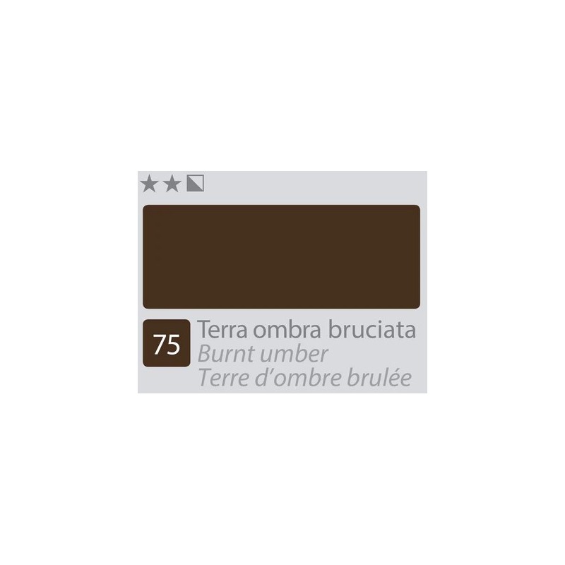 ACCADEMIA Colore Ad Olio - Terra Ombra Bruciata (75)