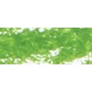 Renesans Ad Olio - Pastello Chromium green