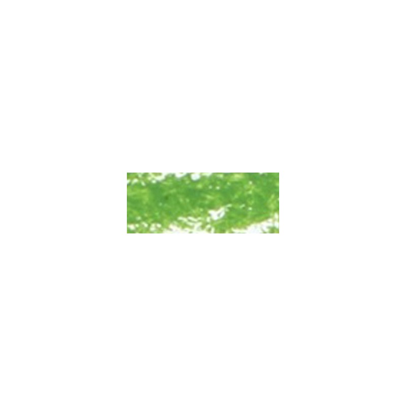 Renesans Ad Olio - Pastello Chromium green