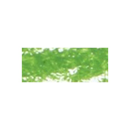Renesans Ad Olio - Pastello Chromium green