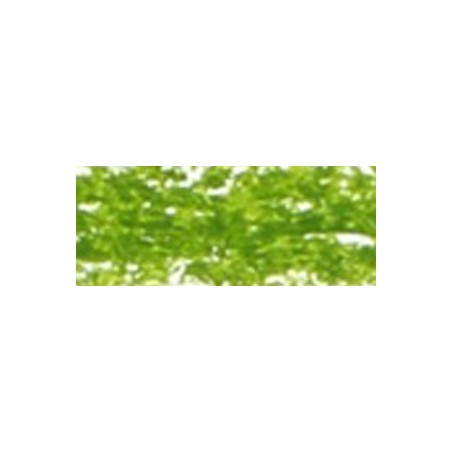 Renesans Ad Olio - Pastello Olive green