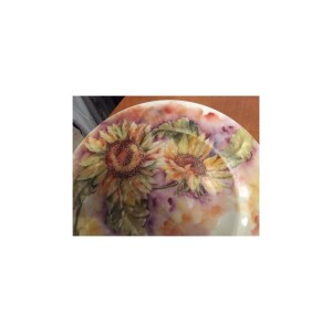 Domenica 28 Giugno - Decorazione su Porcellana – 3° Fuoco