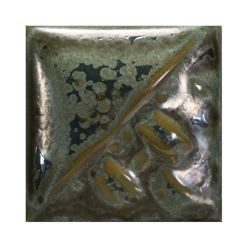cono 6