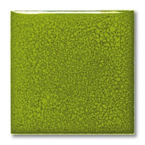 FE5030 Limette