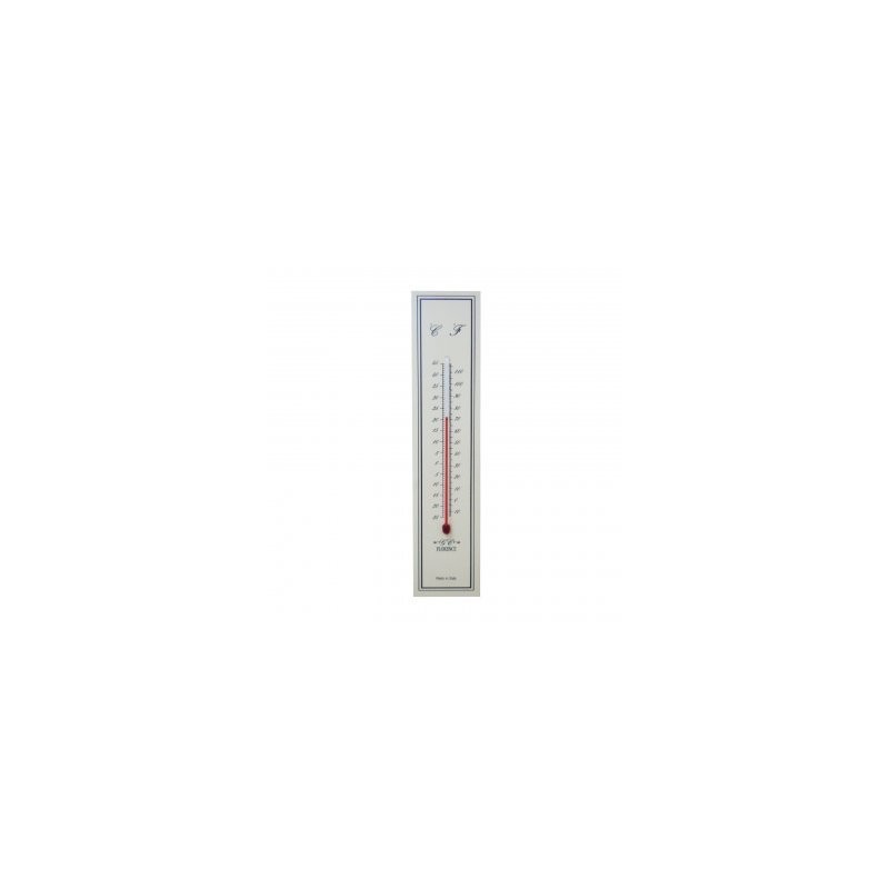 TE18 Termometro piastrina cm.18 