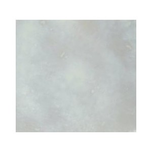 Lip21 Lustro Madreperla Classico 