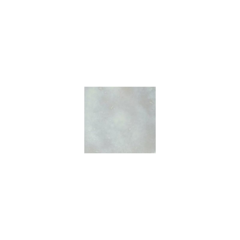 Lip21 Lustro Madreperla Classico 