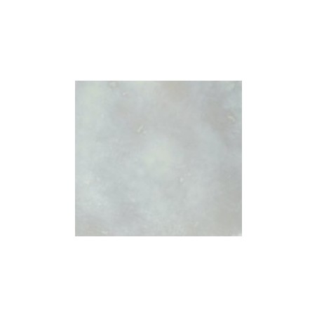Lip21 Lustro Madreperla Classico 