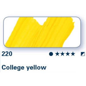 Giallo College 220 - College Olio Schmincke