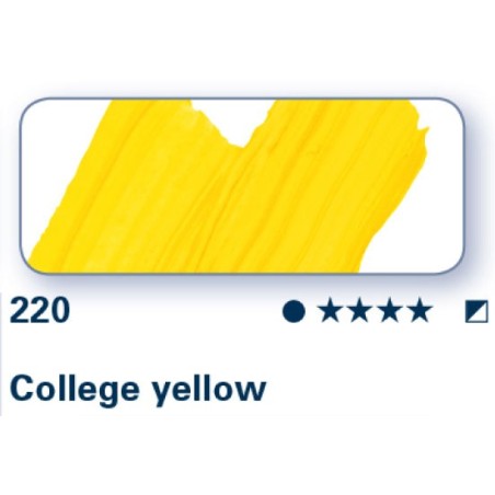 Giallo College 220 - College Olio Schmincke