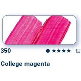 College Magenta 350 - College Olio Schmincke