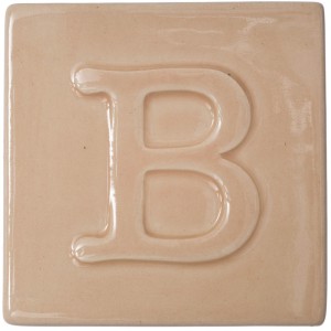 Botz9479 Flesh