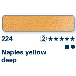 Giallo di Napoli scuro 224 - Olio Norma Professional Schmincke