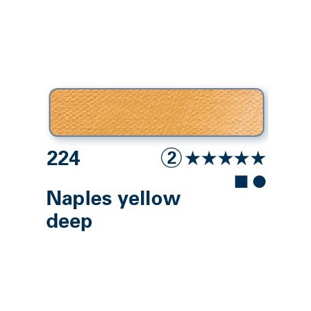 Giallo di Napoli scuro 224 - Olio Norma Professional Schmincke