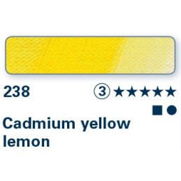 Giallo di Cadmio limone 238 - Olio Norma Professional Schmincke