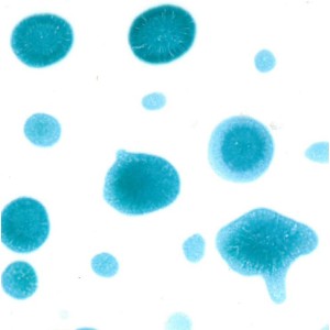 crs4056/17 Reagente Turchese crs4056/17 Reagente Turchese