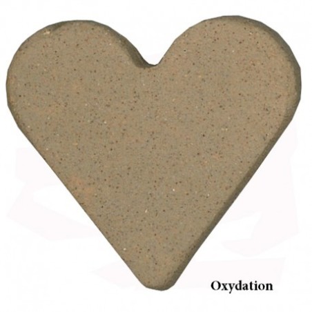 CAGNAT Gres de Puisaye