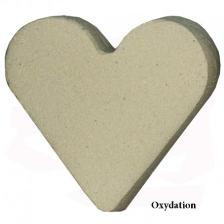 GSA-Pyr Gres di St Amand con grani di "pyrite".