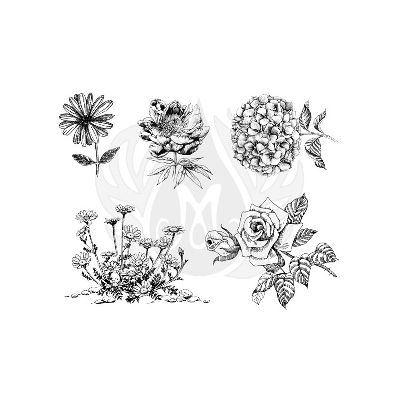DSS-0149 Flowers 3 XL