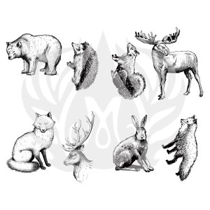 DSS-0101 Woodland animals