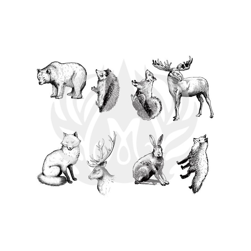 DSS-0101 Woodland animals